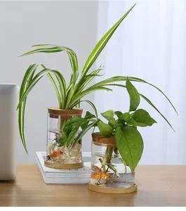 Vista detallada de jarrón de vidrio de borosilicato para plantas hidropónicas con corcho