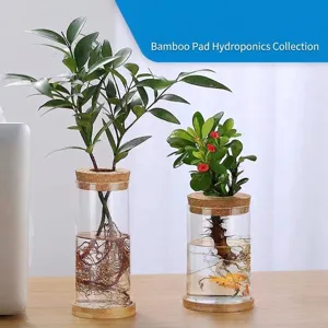 Jarrón Hidropónico de Vidrio Borosilicato Botella de Paisaje Con Tapón de Corcho y Base de Bambú Adorno de Escritorio