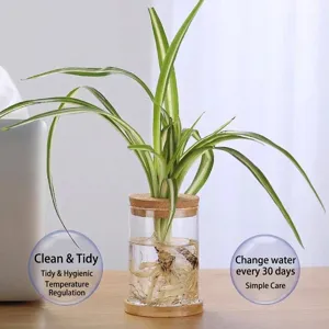 Botella de vidrio borosilicato hidropónico con tapa de corcho y base de bambú