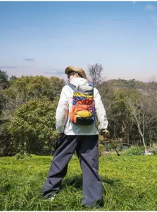 Πίσω όψη πεζοπόρου με πολύχρωμο σακίδιο πλάτης στυλ ντοπαμίνης σε εξωτερικό τοπίο