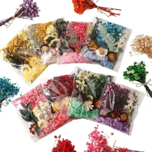 Assorted colorful dried flower material bags for handmade DIY crafts and home decorations