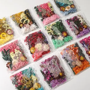 Assorted dried flower material packs for DIY handmade crafts and resin art decoration