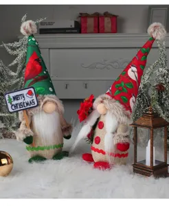 Detail of two Christmas gnomes with bird print hats and fur trim on a snowy background.