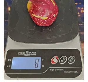 Detail view showing the 8g lightweight foam artificial pumpkin for harvest decoration