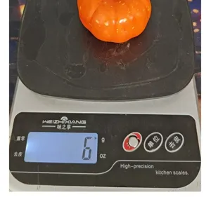 Small orange foam pumpkin for Halloween decor weighing 6g shown on a scale
