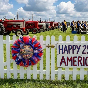 USA 250ste verjaardag mesh krans met adelaarsmotief voor patriottische buiten decor