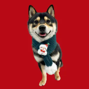 Nahaufnahme des grünen gestrickten Haustierschals mit Schneemann-Verzierung auf Shiba Inu
