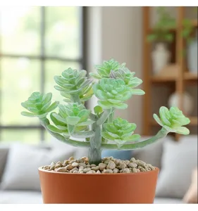 Planta suculenta artificial realista en maceta de terracota para decoración del hogar