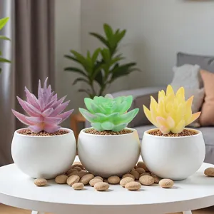 Set de tres plantas suculentas artificiales realistas en macetas blancas para hogar