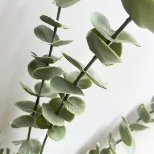 Gros plan détaillé de feuilles d'eucalyptus artificielles gris-vert pour la décoration