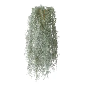 Detailed view of artificial silvery-green air plant vine with soft texture