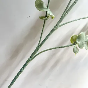 Détail en gros plan d'une branche d'eucalyptus artificiel avec feuilles vertes
