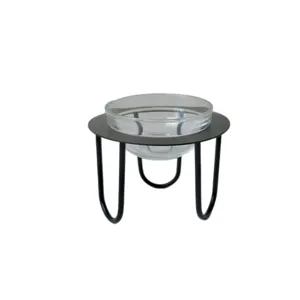 Creative iron art glass bowl for fruit, dessert, salad, snacks, or pet feeding use.