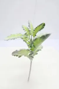 Close-up of artificial flocked Dusty Miller leaf for wedding and home floral decor