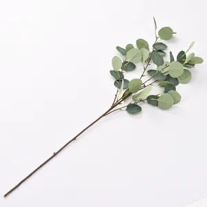 Detailed macro view of an artificial eucalyptus branch with silver dollar leaves for decor