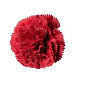 Testa di garofano artificiale rosso vivace per decorazioni e composizioni.
