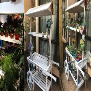 Chariot à fleurs décoratif en bois blanc vintage pour plantes d'extérieur et vitrines