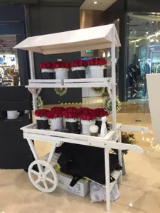 Chariot à fleurs blanc en bois avec étagères à deux niveaux et toit en décor commercial
