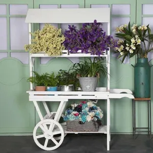Chariot porte-fleurs en bois blanc rustique pour décoration de jardin ou vitrine de magasin