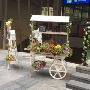 Chariot à fleurs vintage en bois massif blanc et support échelle pour vitrine rustique