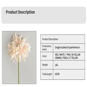 Detailed view of single brushed chrysanthemum with product specifications and dimensions