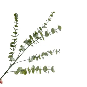 Branches d'eucalyptus artificielles à 5 tiges avec feuilles de monnaie pour décoration intérieure