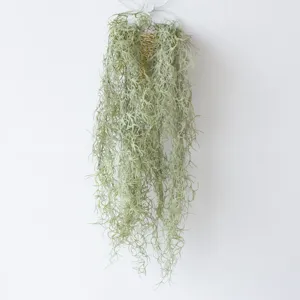 Close-up of lifelike artificial Spanish moss hanging vine for home wall decor