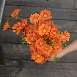 Detailansicht lebendiger orangefarbener künstlicher Gänseblümchen auf Holzdeck.
