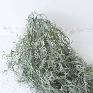 Detailed view of artificial green air fern vines in a glass vase for home decor