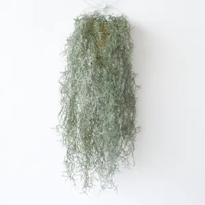 Artificial Hanging Air Plant Spanish Moss Soft Glue Vine For Home Cafe Bar Wall Decor Plastic Greenery Foliage Plant Garland