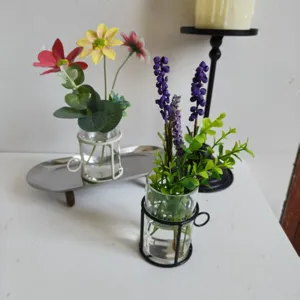 Close-up of glass hydroponic vase with iron cup holder frame for home decor