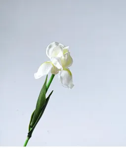 Close-up detail of artificial white iris flower with green stem, perfect for home decor.