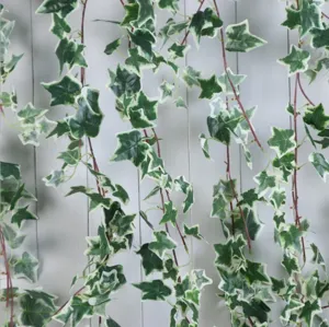 Macro view of variegated artificial ivy leaves with white edges on white wood