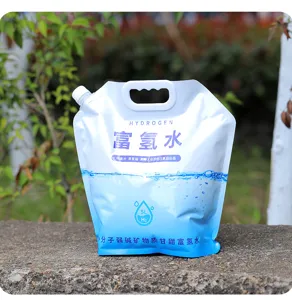 Detailed view of portable 5L foldable water storage bag with handle and spout