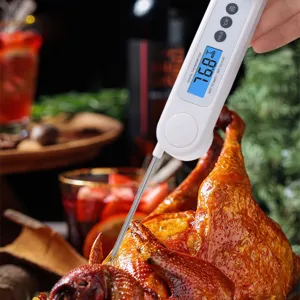 Termometro digitale a sonda per misurare la temperatura del tacchino arrosto in dettaglio