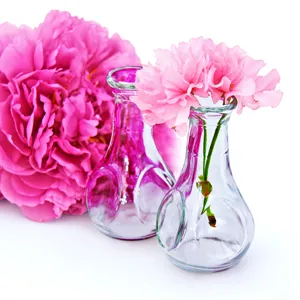 Gros plan de petits vases en verre transparent décorés de fleurs roses