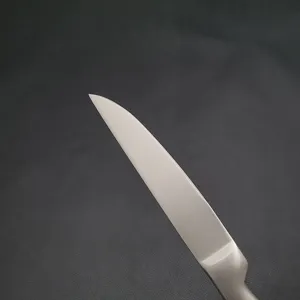 Primo piano dettagliato della lama di un coltello da bistecca in acciaio inossidabile 420