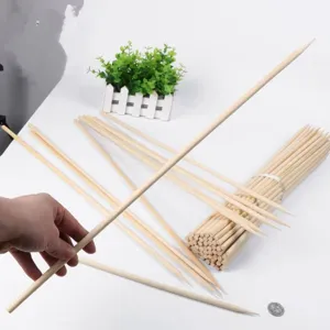Nahaufnahme von 50cm langen dicken Bambusspießen im Größenvergleich mit Hand und Münze
