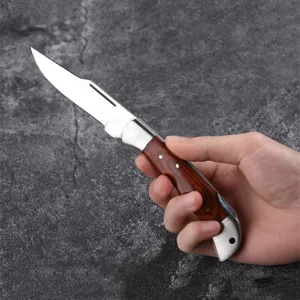 Cuchillo de Fruta Plegable Moderno de Acero Inoxidable Cuchillo de Bolsillo Portátil para Camping Exterior Con Mango de Grano de Madera