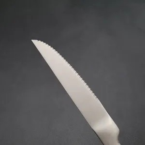 Dettaglio ravvicinato di una lama di coltello da bistecca seghettata in acciaio inox 420