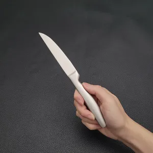 Dettaglio di un coltello da bistecca seghettato in acciaio inossidabile 420 in mano