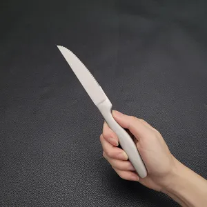 Dettaglio di un coltello da bistecca seghettato in acciaio inox 420 tenuto in mano