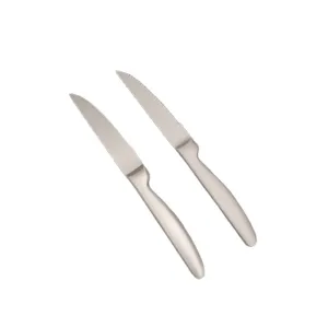 Set di due coltelli da bistecca seghettati in acciaio inossidabile 420 professionale
