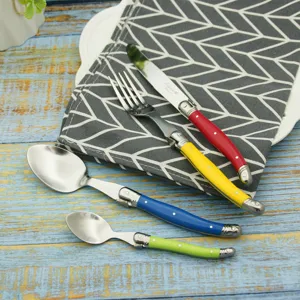 Detailed view of colorful 4-piece stainless steel cutlery set with Laguiole style handles.