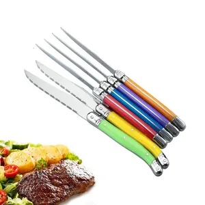 Close-up of colorful Laguiole style steak knives with stainless steel blades and bee emblem