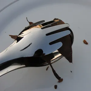 Macro detail of high-quality stainless steel food tongs clamping organic dried leaves