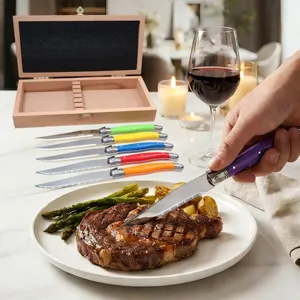 Juego profesional de 6 cuchillos para carne de acero inoxidable con caja de madera de primera calidad