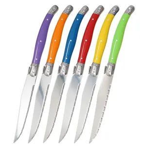 Juego de 6 cuchillos para carne estilo Laguiole de colores con hojas dentadas de acero.