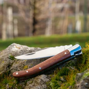 Detail eines klassischen Klappmessers mit Holzgriff und Korkenzieher auf einem Felsen