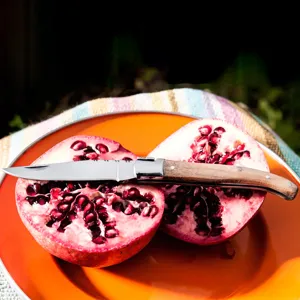 Nahaufnahme eines klassischen Taschenmessers mit Holzgriff auf einem frischen Granatapfel